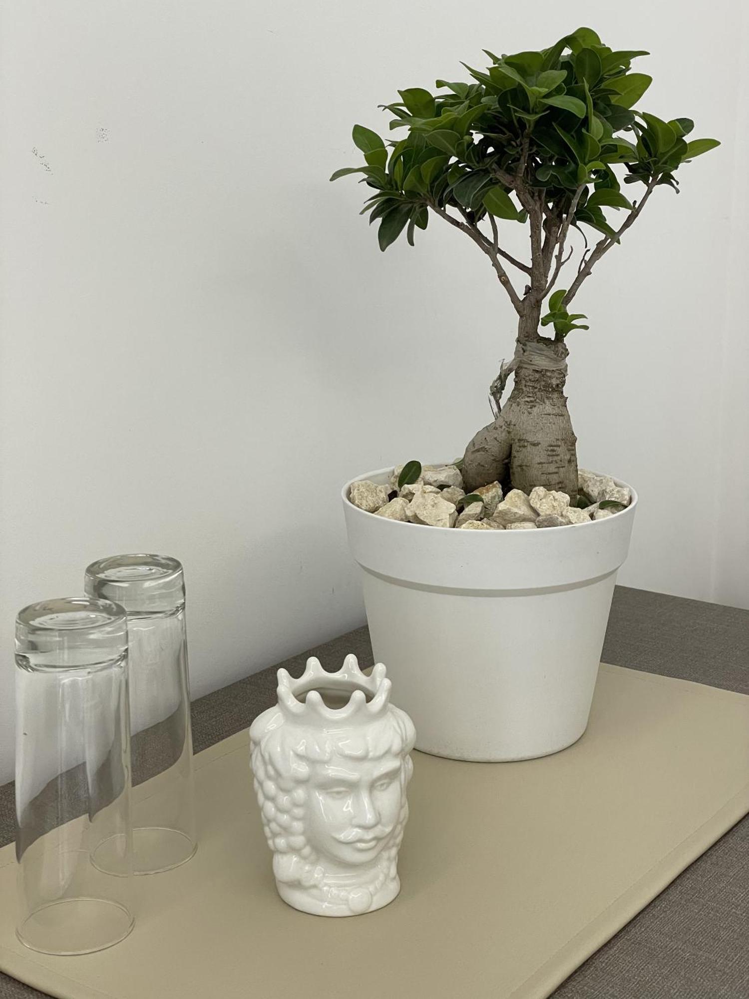 Paradise Sicily Rooms 칼레타비아노 외부 사진